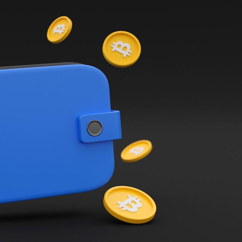 how to make a crypto wallet